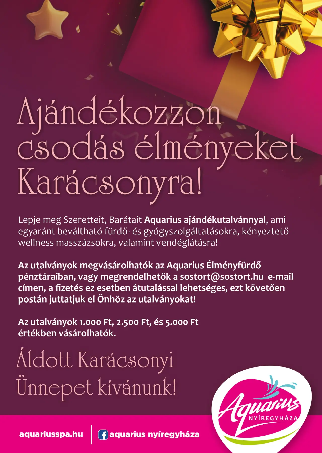 Give the gift of wonderful experiences this Christmas!