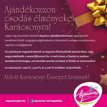 Give the gift of wonderful experiences this Christmas! 2023