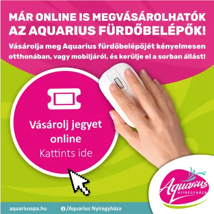 Here is the Aquarius bath ticket available for purchase online!