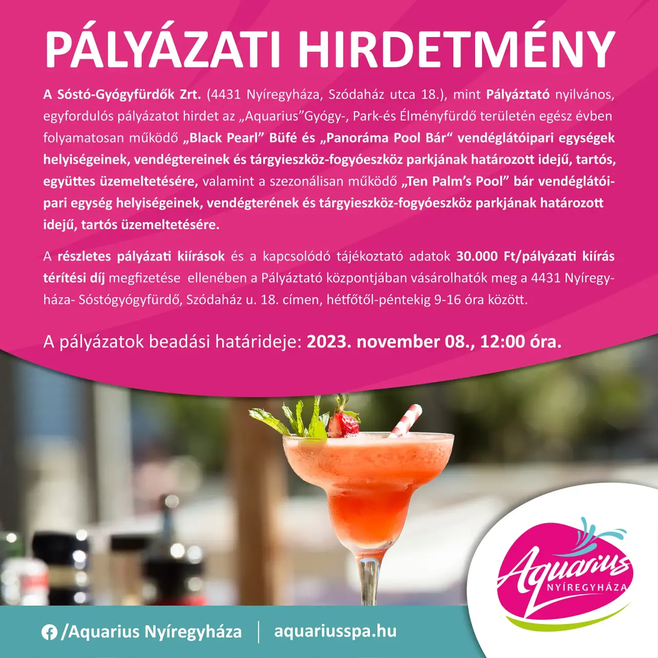 CALL FOR APPLICATIONS 2023